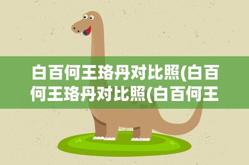 白百何王珞丹对比照(白百何王珞丹对比照(白百何王珞丹))