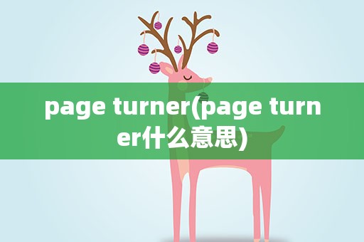 page turner(page turner什么意思)