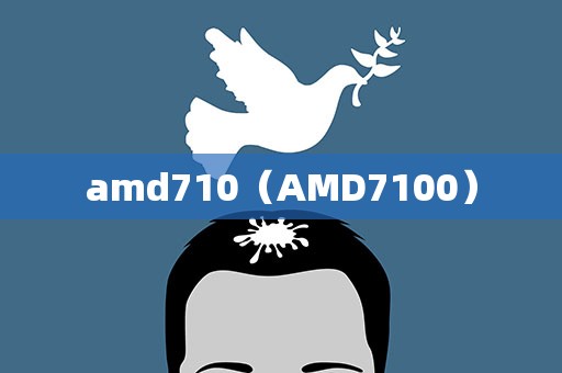 amd710（AMD7100）