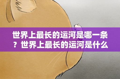 世界上最长的运河是哪一条？世界上最长的运河是什么