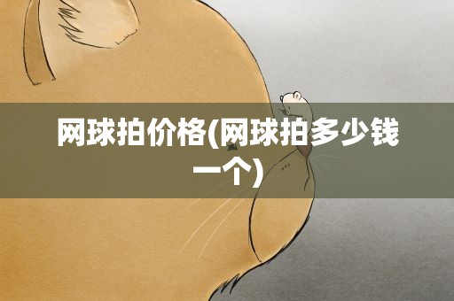 网球拍价格(网球拍多少钱一个)