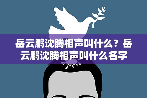 岳云鹏沈腾相声叫什么？岳云鹏沈腾相声叫什么名字