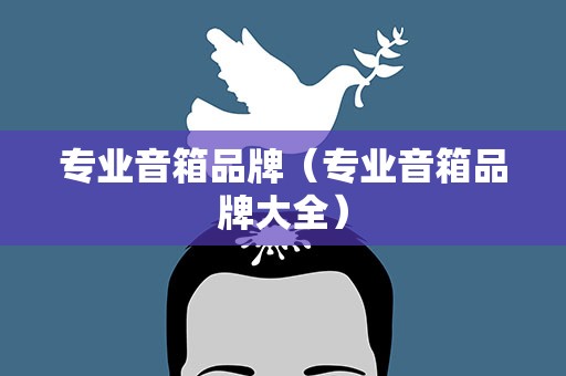 专业音箱品牌（专业音箱品牌大全）