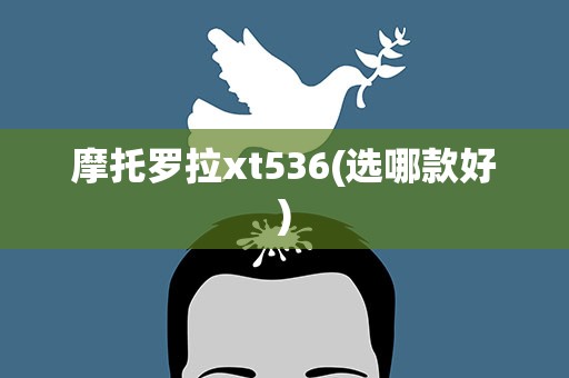 摩托罗拉xt536(选哪款好)