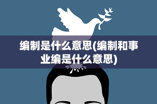 编制是什么意思(编制和事业编是什么意思)