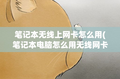 笔记本无线上网卡怎么用(笔记本电脑怎么用无线网卡)