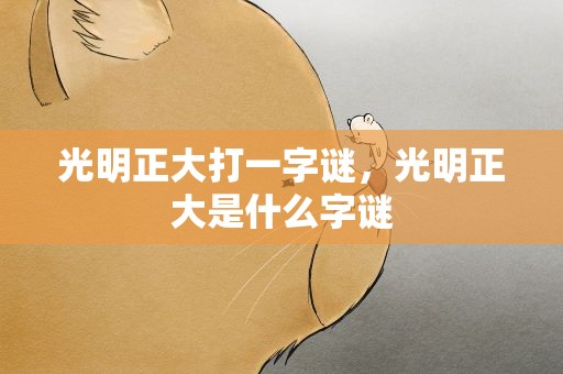 光明正大打一字谜，光明正大是什么字谜