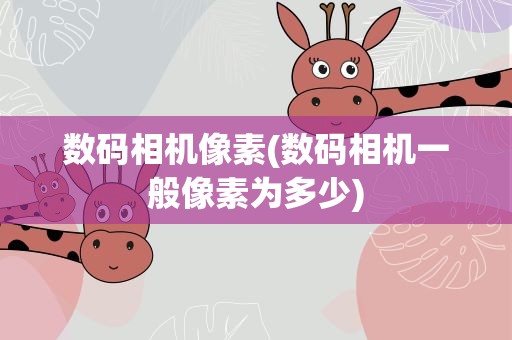 数码相机像素(数码相机一般像素为多少)