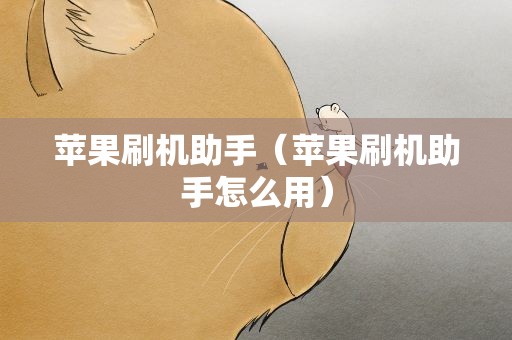 苹果刷机助手（苹果刷机助手怎么用）