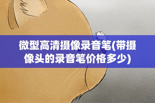 微型高清摄像录音笔(带摄像头的录音笔价格多少)