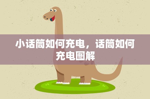 小话筒如何充电，话筒如何充电图解