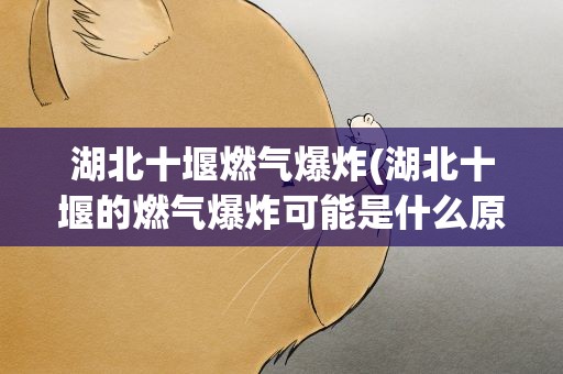 湖北十堰燃气爆炸(湖北十堰的燃气爆炸可能是什么原因造成的)