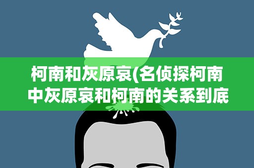 柯南和灰原哀(名侦探柯南中灰原哀和柯南的关系到底是什么)