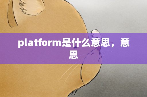 platform是什么意思，意思