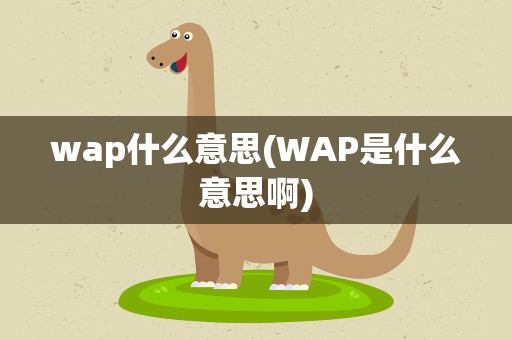 wap什么意思(WAP是什么意思啊)