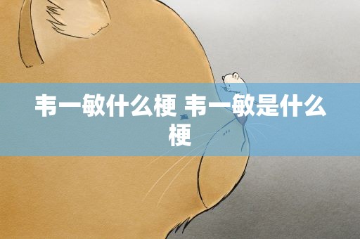 韦一敏什么梗 韦一敏是什么梗