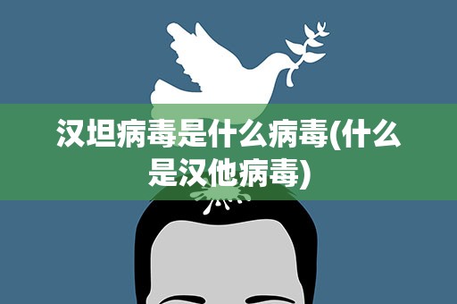 汉坦病毒是什么病毒(什么是汉他病毒)