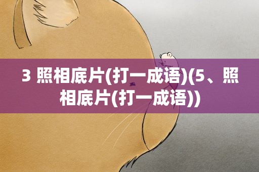 3 照相底片(打一成语)(5、照相底片(打一成语))