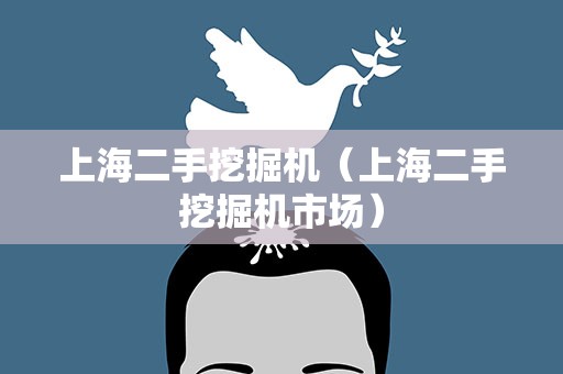 上海二手挖掘机（上海二手挖掘机市场）