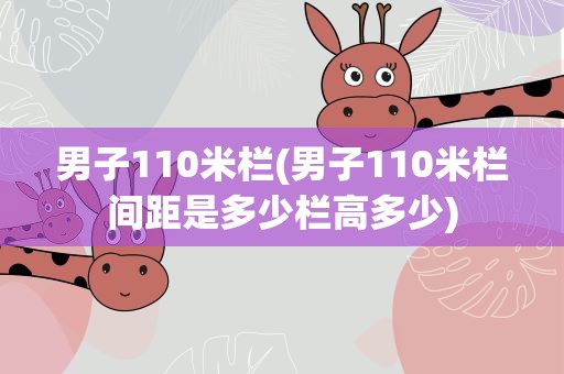 男子110米栏(男子110米栏间距是多少栏高多少)