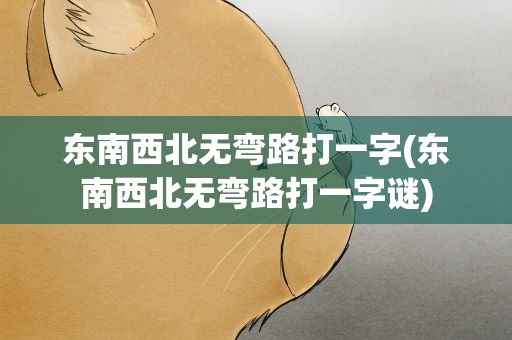 东南西北无弯路打一字(东南西北无弯路打一字谜)