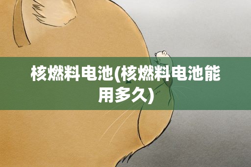 核燃料电池(核燃料电池能用多久)