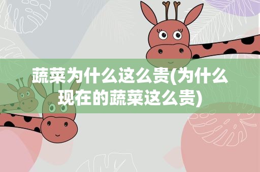 蔬菜为什么这么贵(为什么现在的蔬菜这么贵)