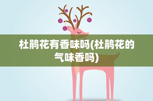 杜鹃花有香味吗(杜鹃花的气味香吗)