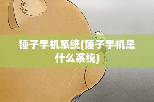 锤子手机系统(锤子手机是什么系统)