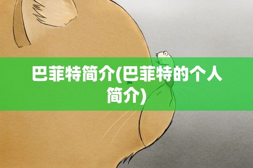 巴菲特简介(巴菲特的个人简介)
