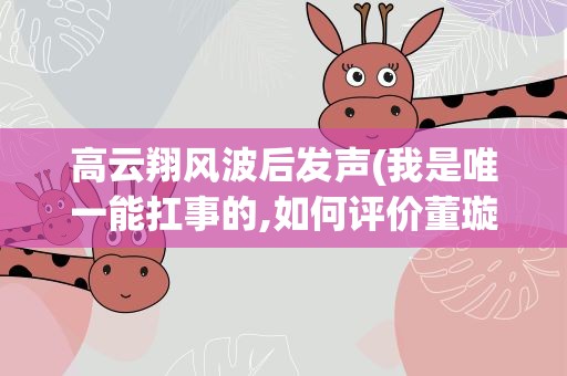 高云翔风波后发声(我是唯一能扛事的,如何评价董璇)