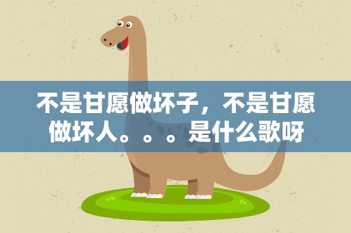 不是甘愿做坏子，不是甘愿做坏人。。。是什么歌呀