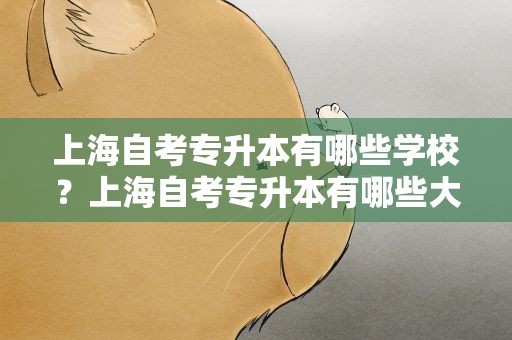 上海自考专升本有哪些学校？上海自考专升本有哪些大学