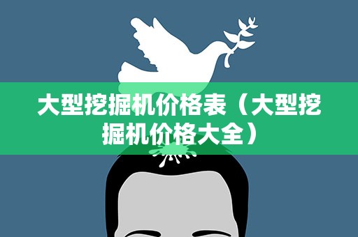 大型挖掘机价格表（大型挖掘机价格大全）