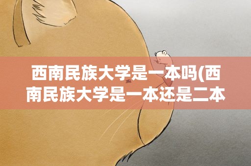 西南民族大学是一本吗(西南民族大学是一本还是二本)