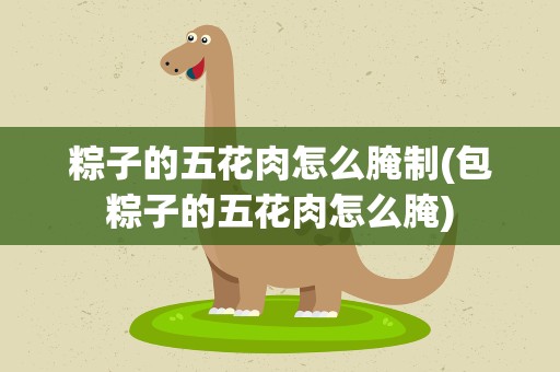 粽子的五花肉怎么腌制(包粽子的五花肉怎么腌)