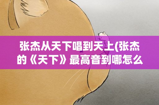 张杰从天下唱到天上(张杰的《天下》最高音到哪怎么感觉很难唱)