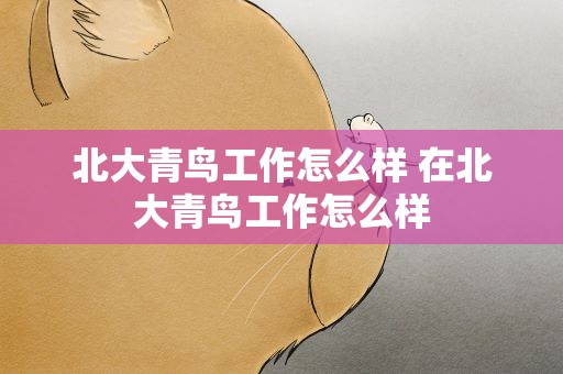 北大青鸟工作怎么样 在北大青鸟工作怎么样
