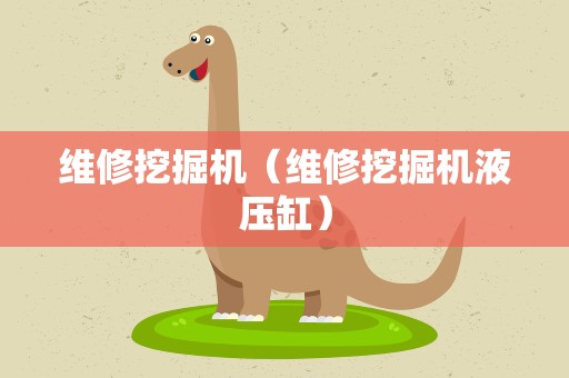 维修挖掘机（维修挖掘机液压缸）