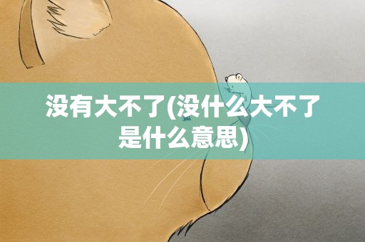 没有大不了(没什么大不了是什么意思)