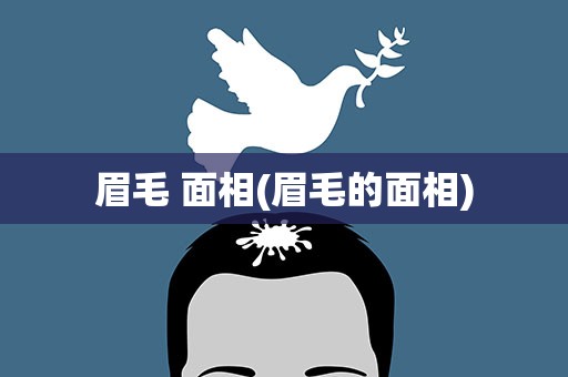 眉毛 面相(眉毛的面相)