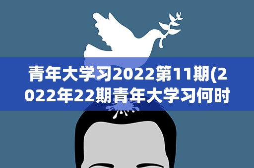 青年大学习2022第11期(2022年22期青年大学习何时更新)