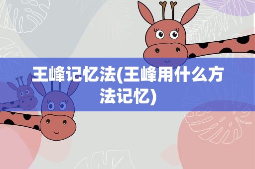 王峰记忆法(王峰用什么方法记忆)