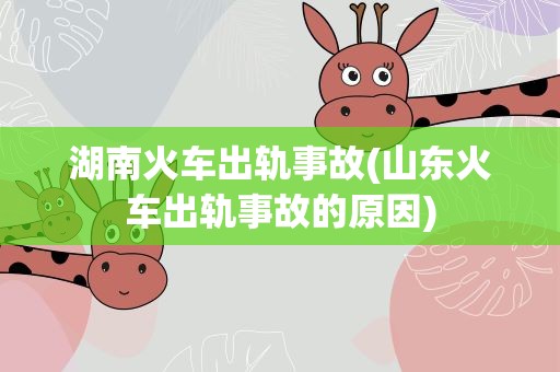 湖南火车出轨事故(山东火车出轨事故的原因)