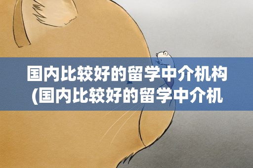 国内比较好的留学中介机构(国内比较好的留学中介机构排名)