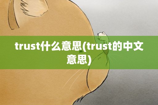 trust什么意思(trust的中文意思)