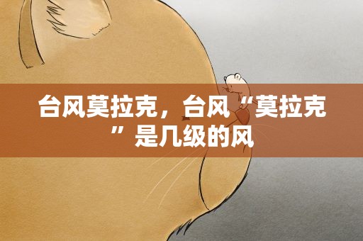台风莫拉克，台风“莫拉克”是几级的风