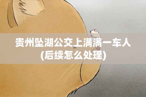 贵州坠湖公交上满满一车人(后续怎么处理)