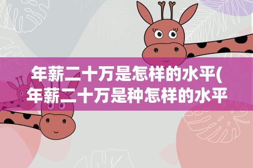 年薪二十万是怎样的水平(年薪二十万是种怎样的水平)
