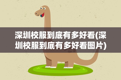 深圳校服到底有多好看(深圳校服到底有多好看图片)